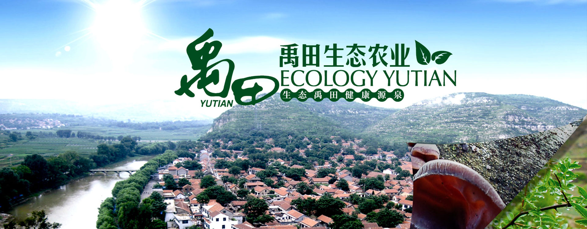 �C���˂��